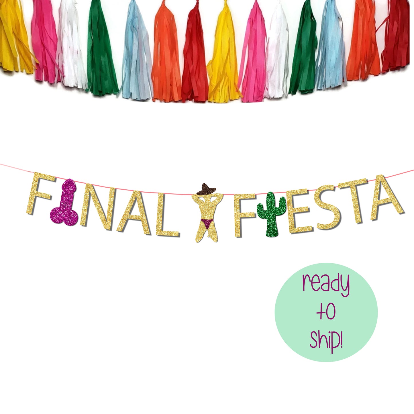 Final Fiesta Bachelorette Party Stripper Cactus and Penis Banner