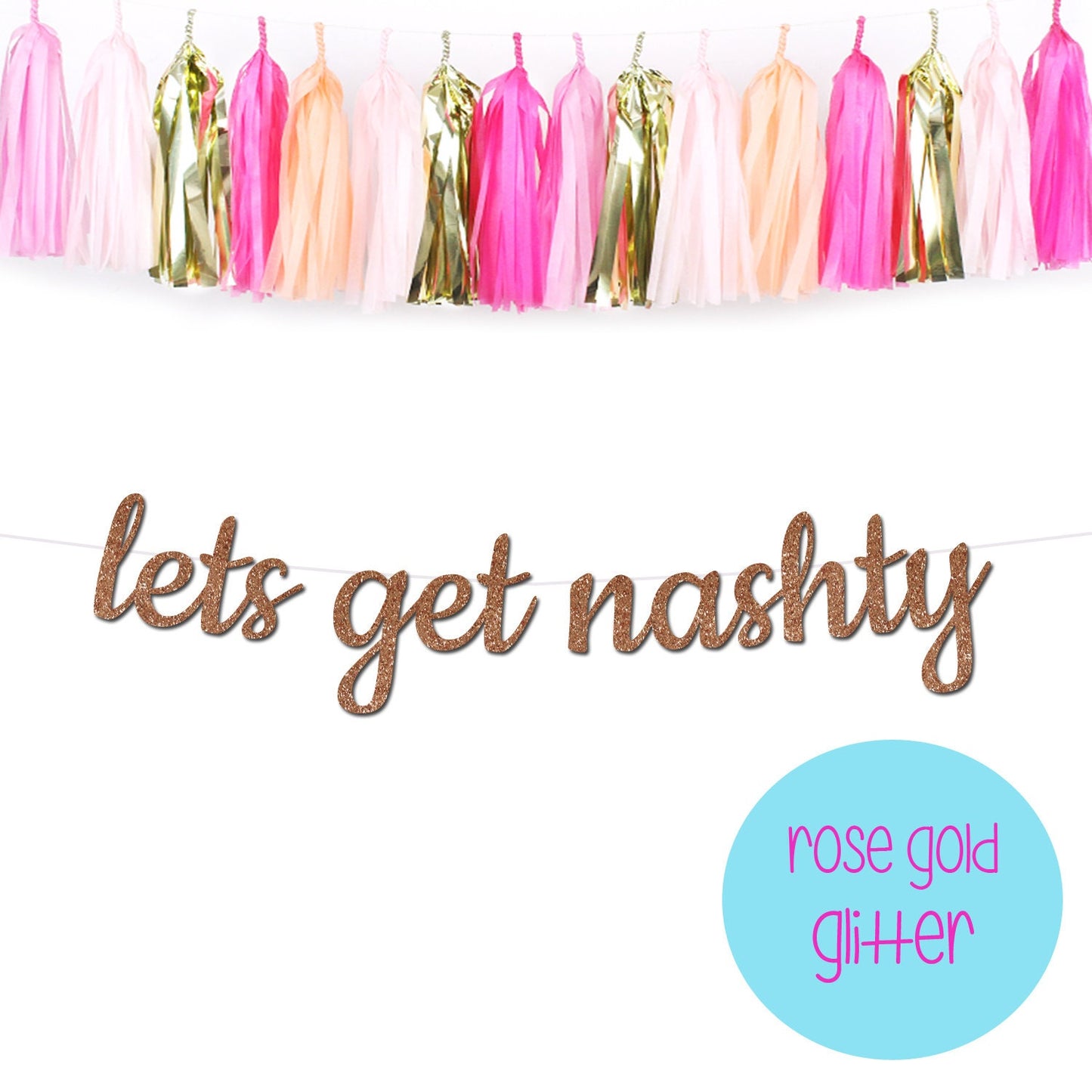 Lets Get Nashty Bachelorette Party Banner, Nashville Bachelorette Party Theme, Nashville Theme, Nashville Bach Theme