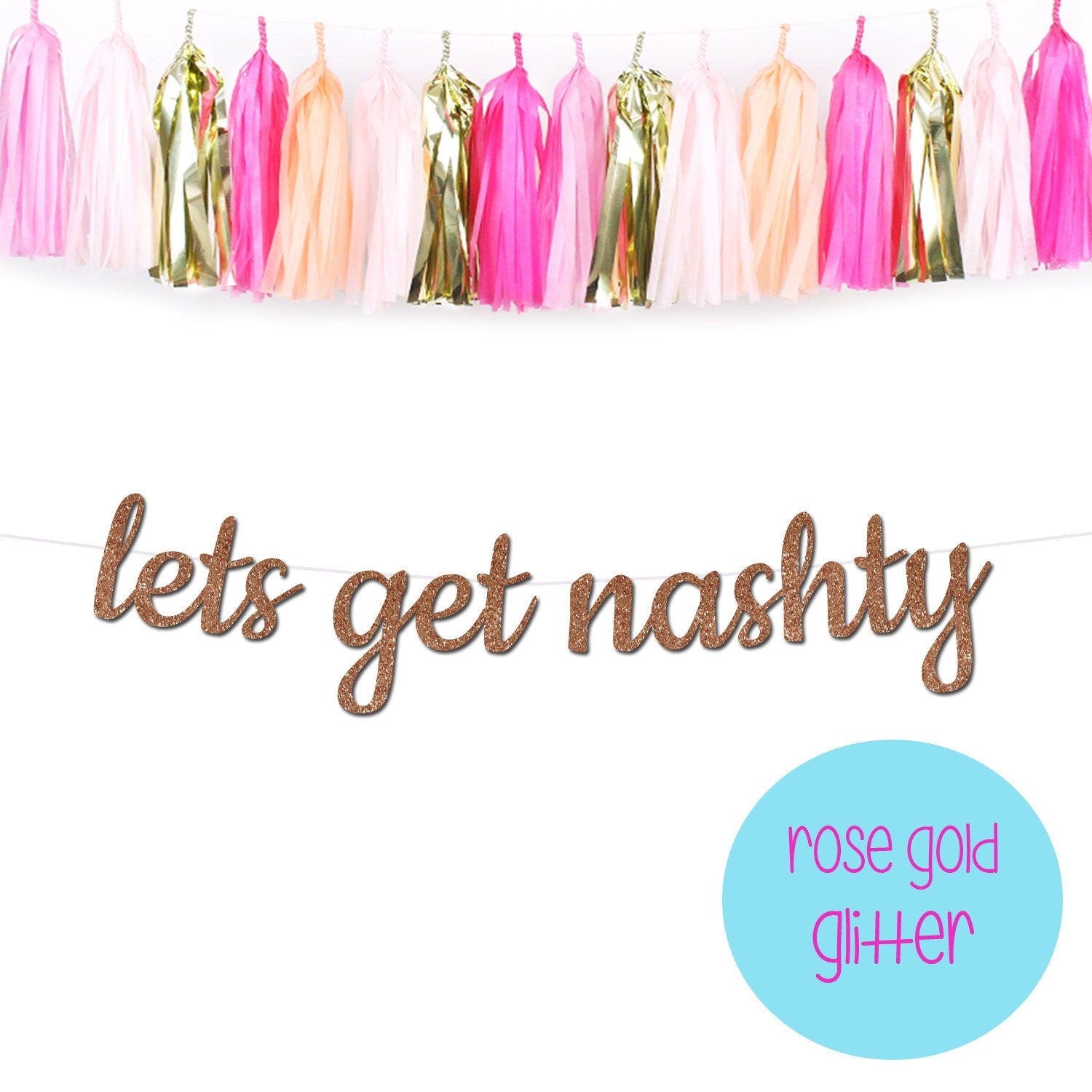 Lets Get Nashty Bachelorette Party Banner, Nashville Bachelorette Party Theme, Nashville Theme, Nashville Bach Theme