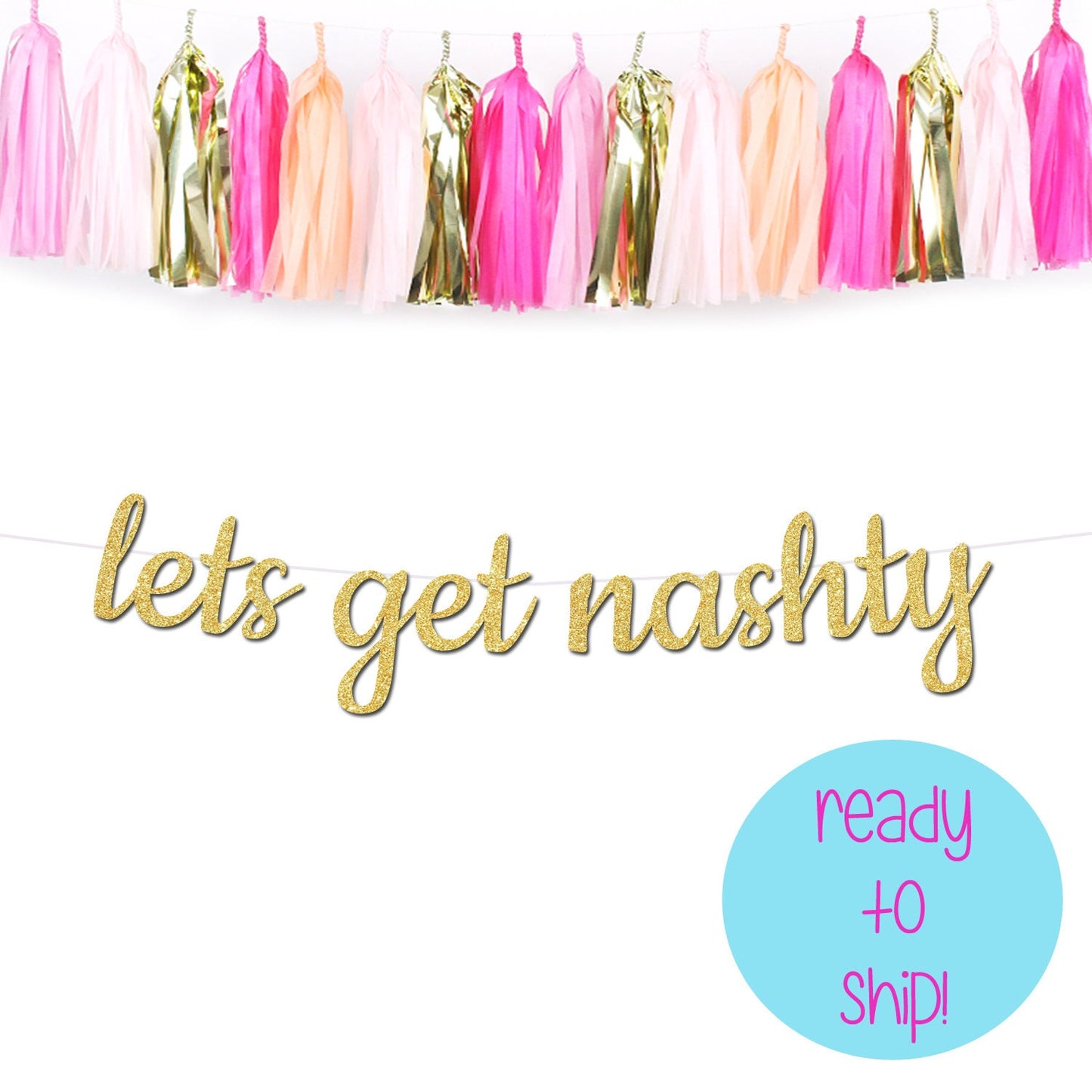 Lets Get Nashty Bachelorette Party Banner, Nashville Bachelorette Party Theme, Nashville Theme, Nashville Bach Theme