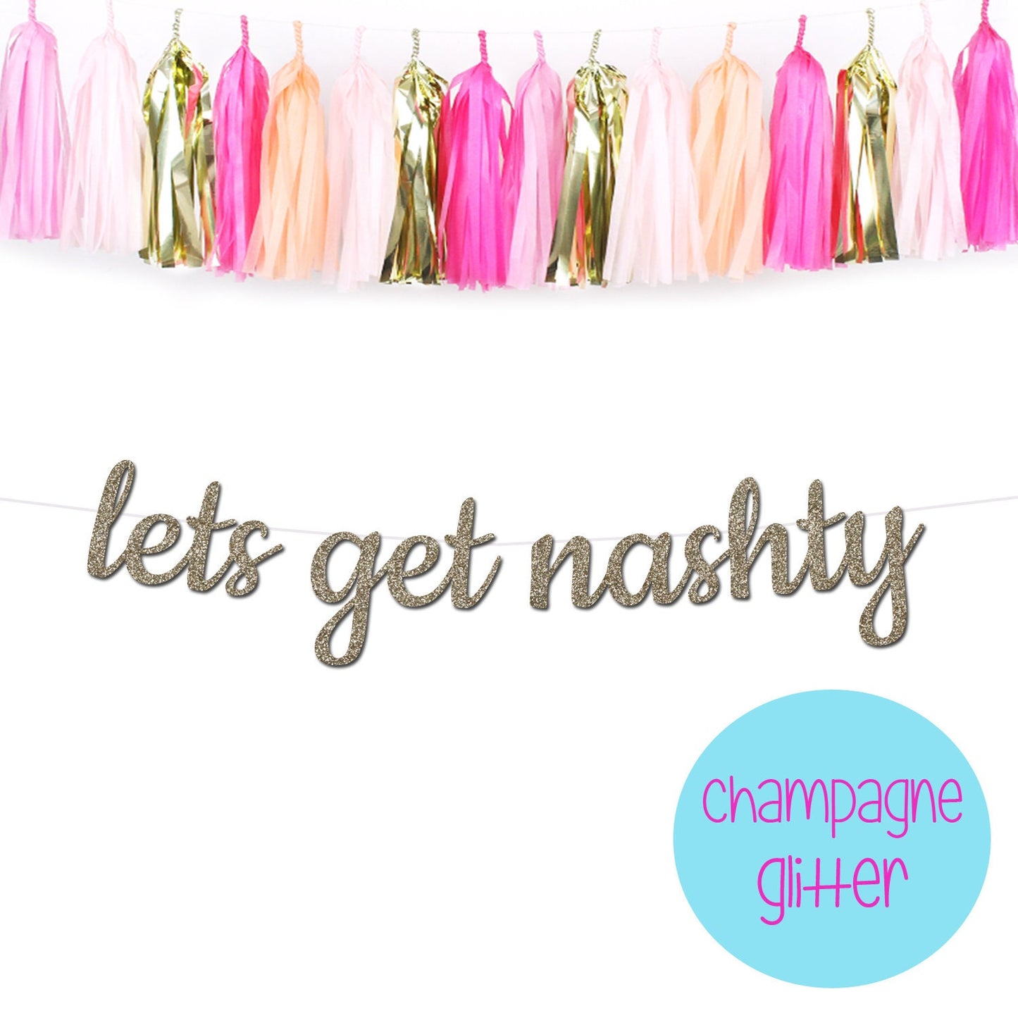 Lets Get Nashty Bachelorette Party Banner, Nashville Bachelorette Party Theme, Nashville Theme, Nashville Bach Theme