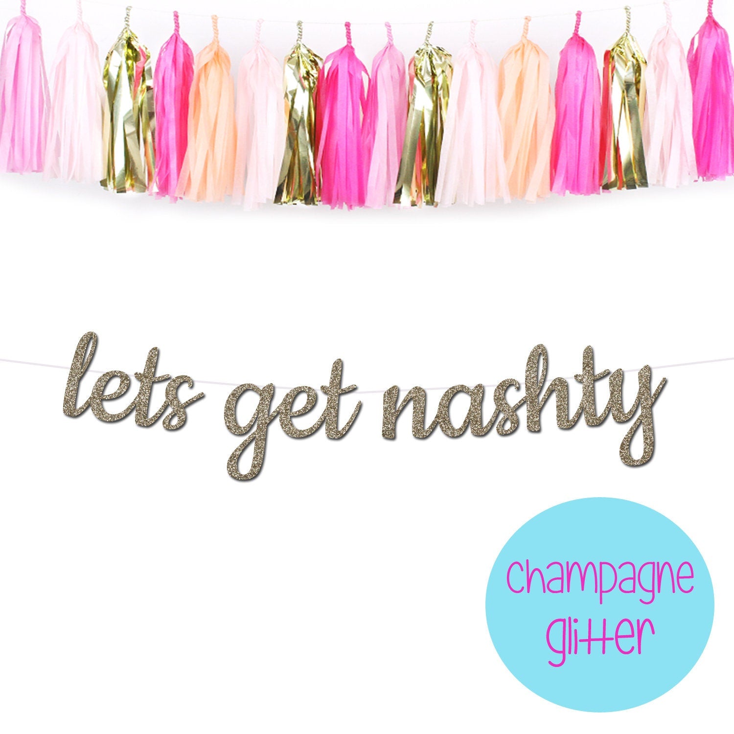Lets Get Nashty Bachelorette Party Banner, Nashville Bachelorette Party Theme, Nashville Theme, Nashville Bach Theme