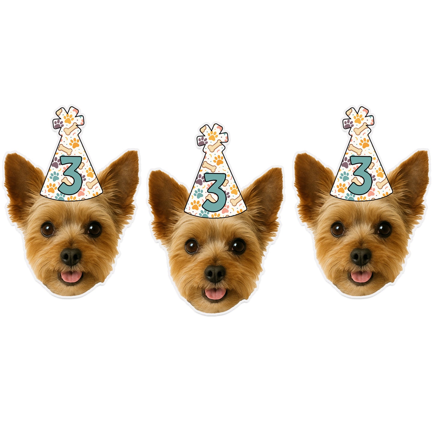 Dog Birthday Party Hat Banner