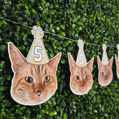 Cat Birthday Party Hat Banner