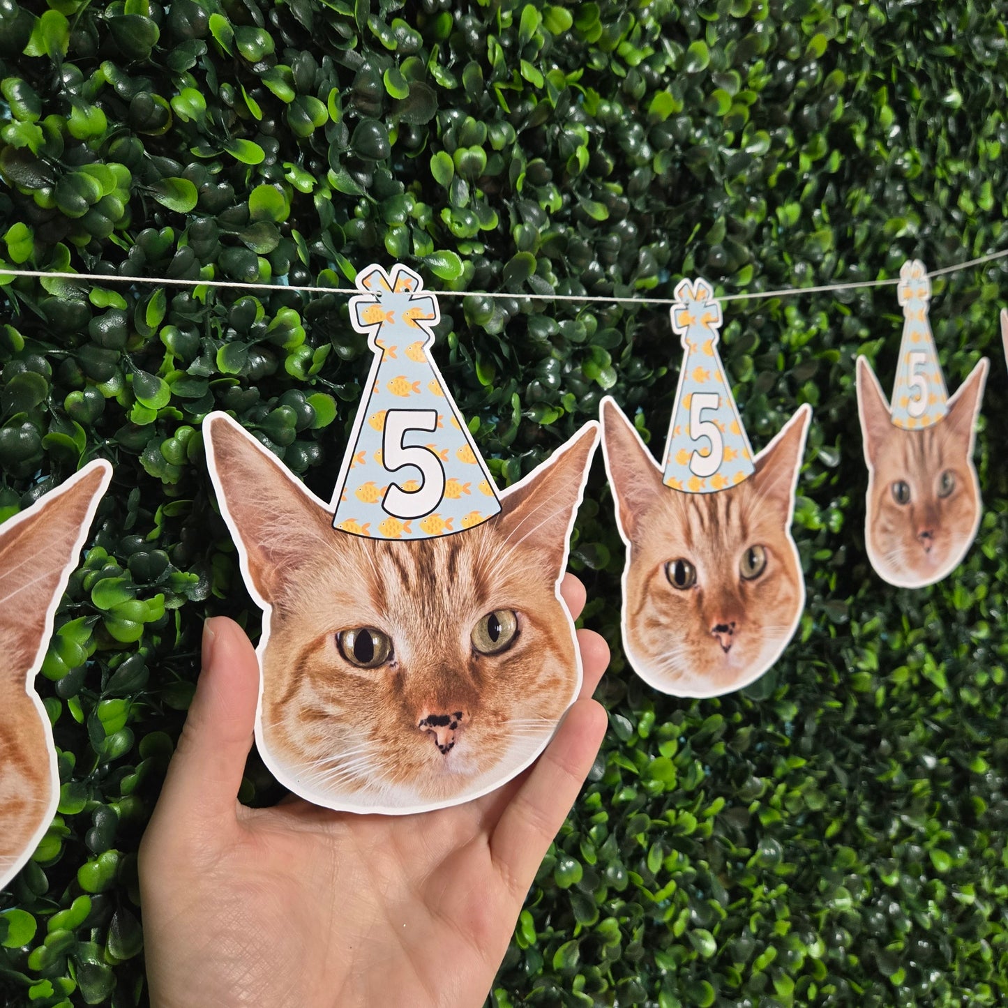 Cat Birthday Party Hat Banner