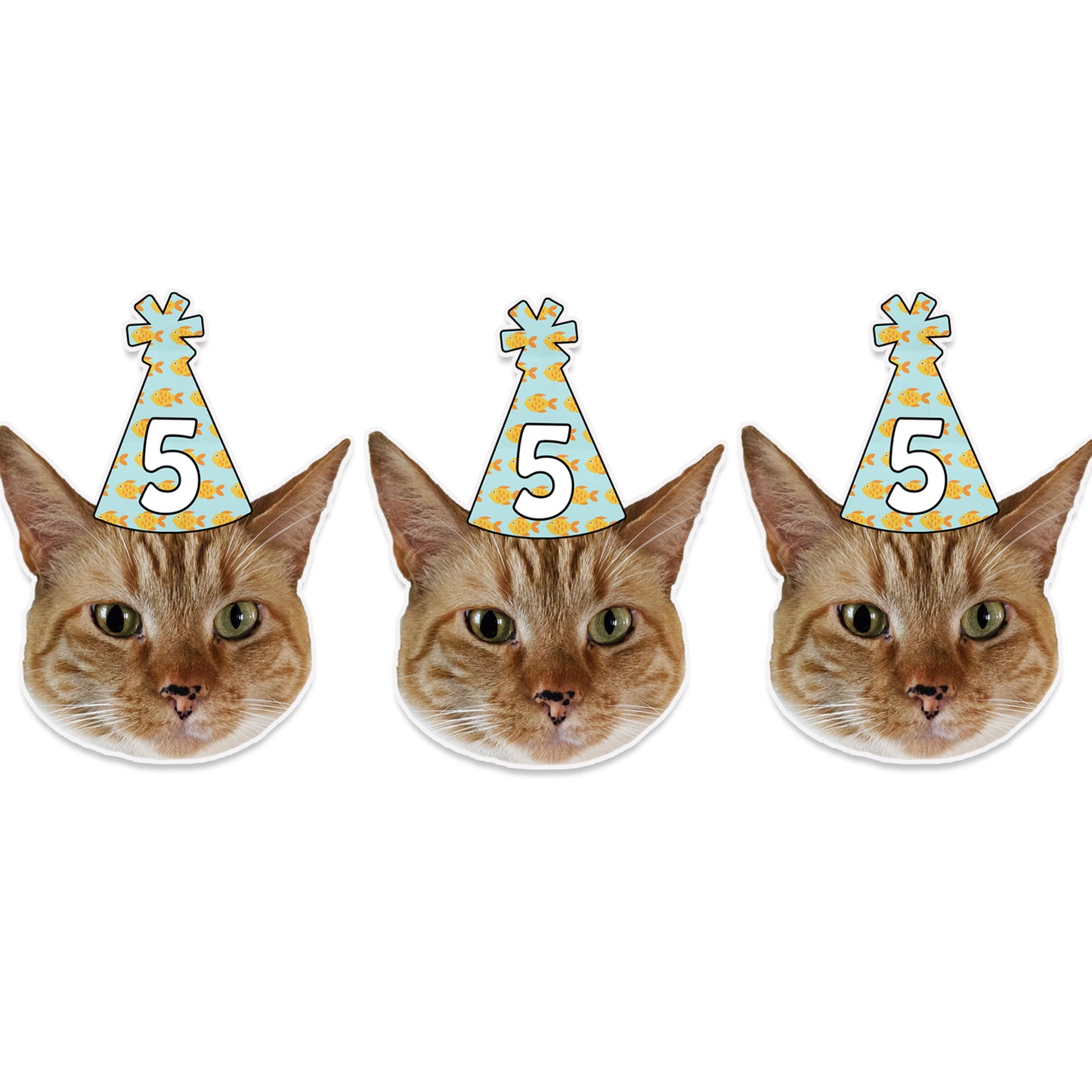Cat Birthday Party Hat Banner