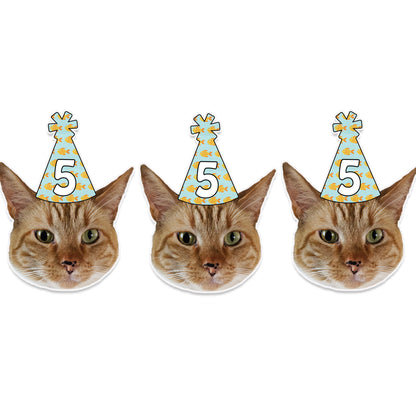 Cat Birthday Party Hat Banner