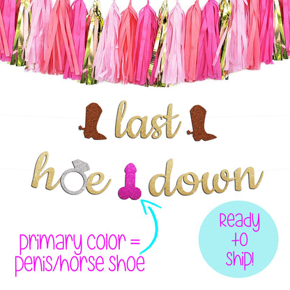 Last Hoe Down Bachelorette Party Boot and Ring Banner, Cowgirl Bachelorette Banner, Bachelorette Boot Confetti, Last Ride Bachelorette