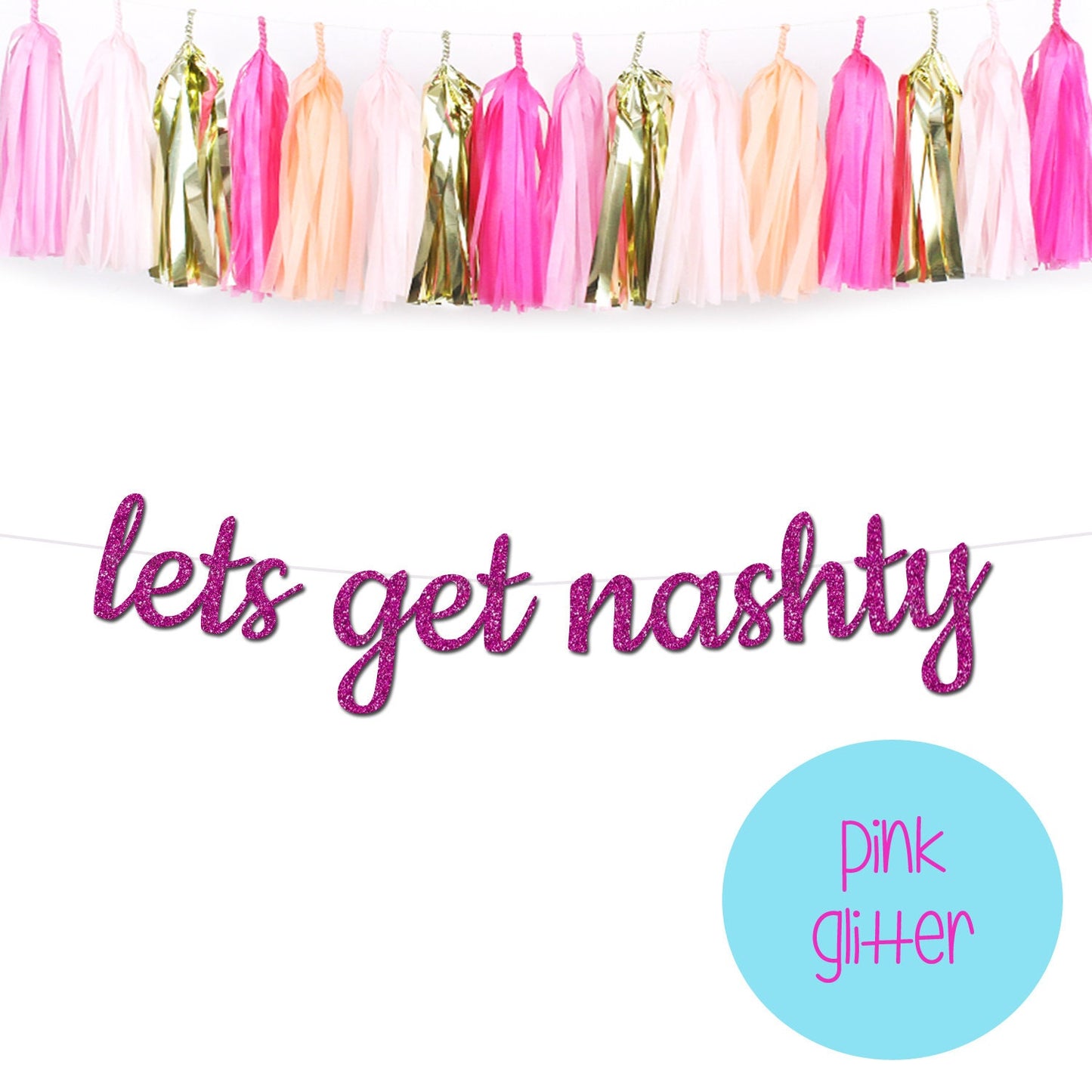 Lets Get Nashty Bachelorette Party Banner, Nashville Bachelorette Party Theme, Nashville Theme, Nashville Bach Theme