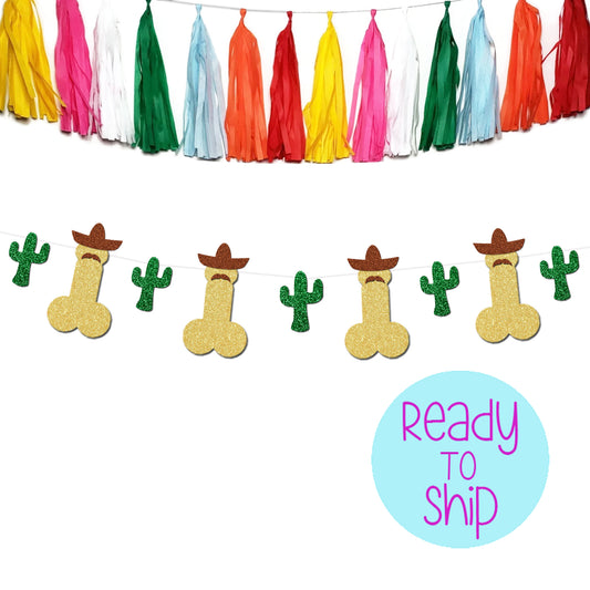 PeenChacho™ Final Fiesta Penis Banner with Cactus